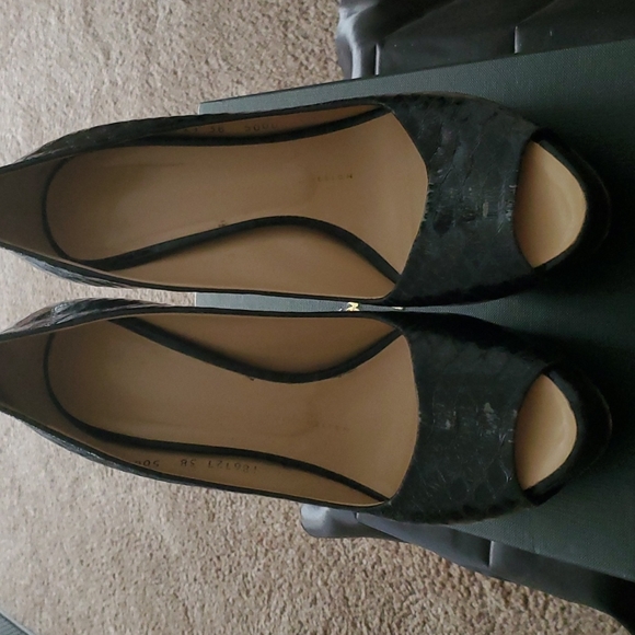 Giuseppe Zanotti Python Pumps - Picture 2 of 5